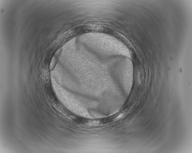 X0000085810609200704091608