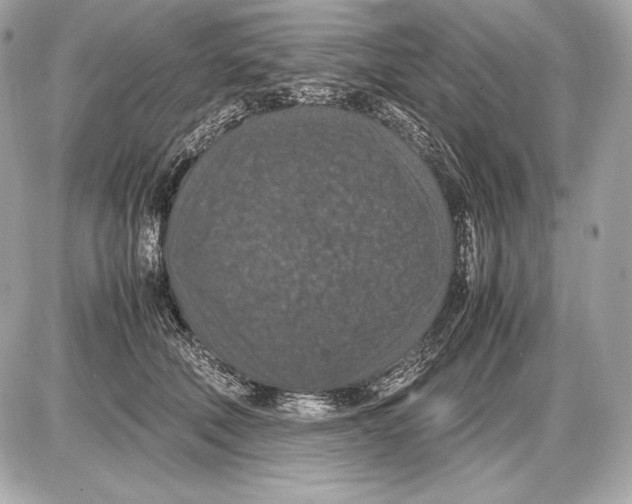 X0000085810610200704091608