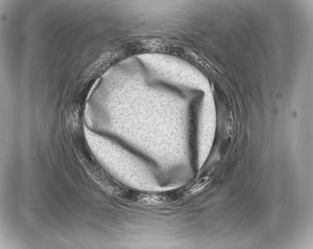 X0000085810611200704091608