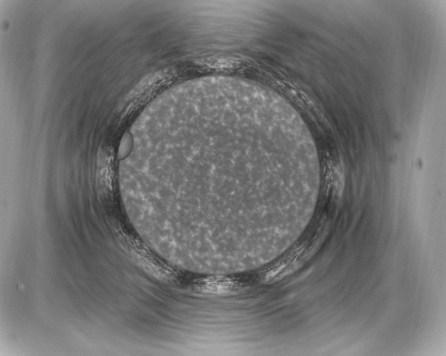 X0000085810612200704091608