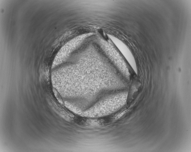 X0000085810613200704091608