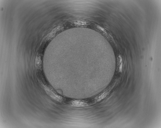 X0000085810614200704091608