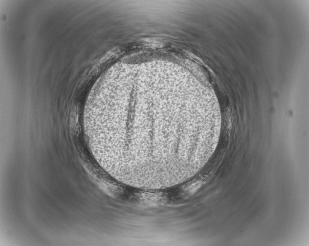 X0000085810615200704091608