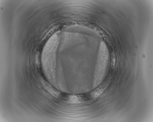 X0000085810616200704091608