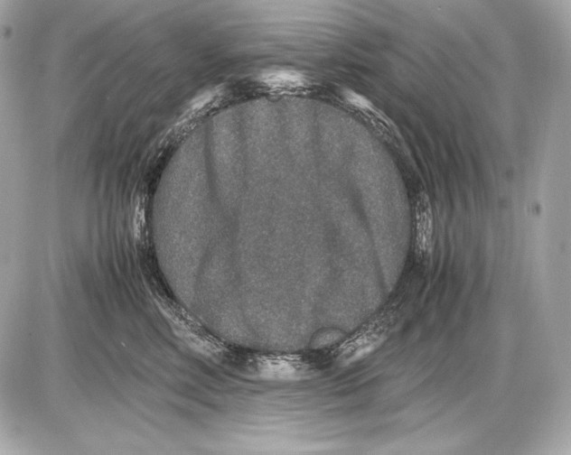 X0000085810618200704091608