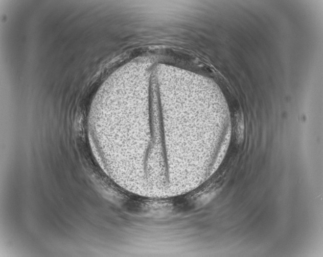 X0000085810619200704091608