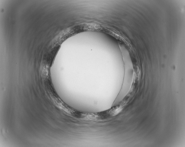 X0000085810621200704091608