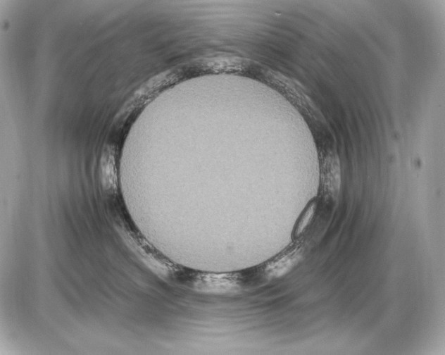 X0000085810622200704091608