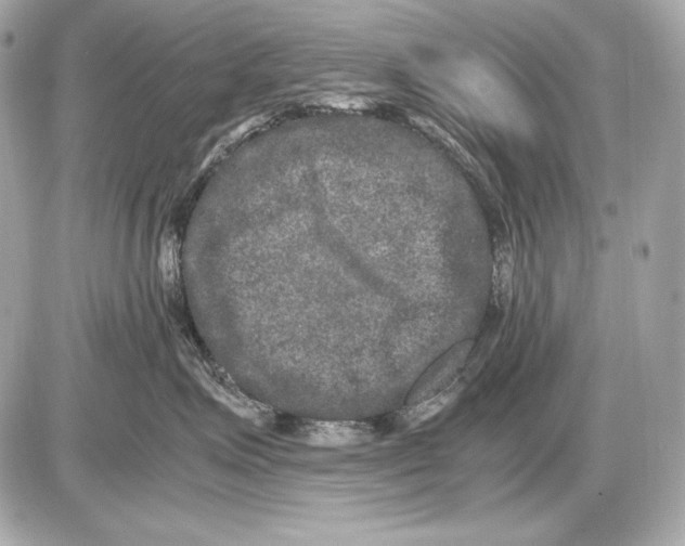 X0000085810623200704091608