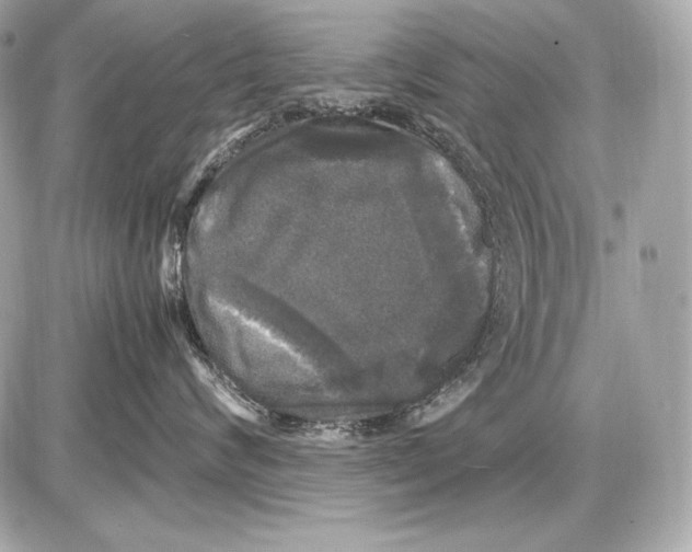 X0000085810624200704091608