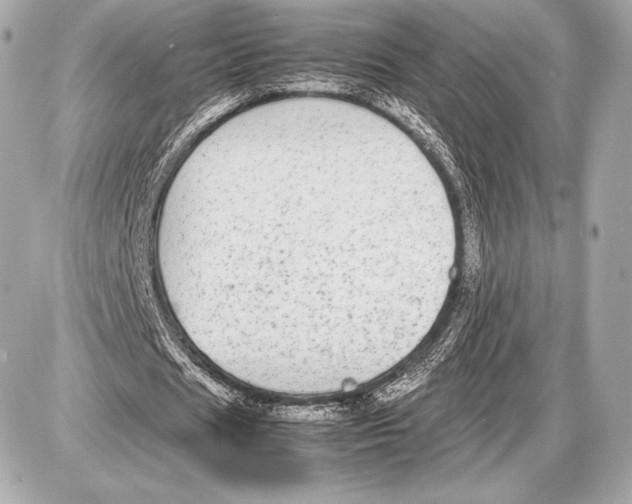 X0000085810625200704091607