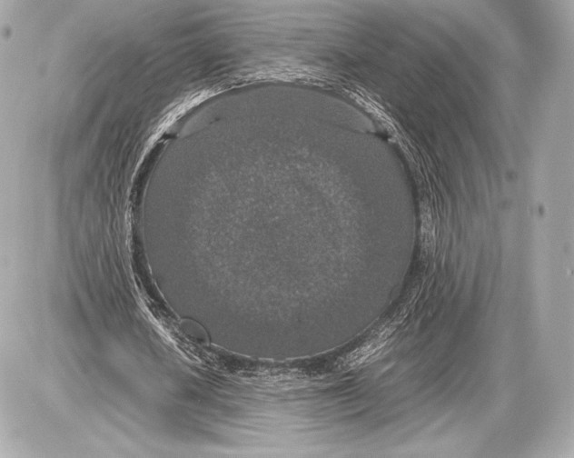 X0000085810626200704091607