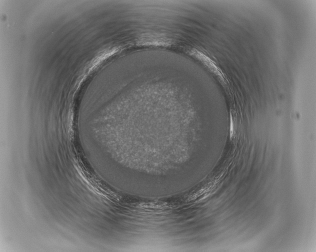 X0000085810627200704091607