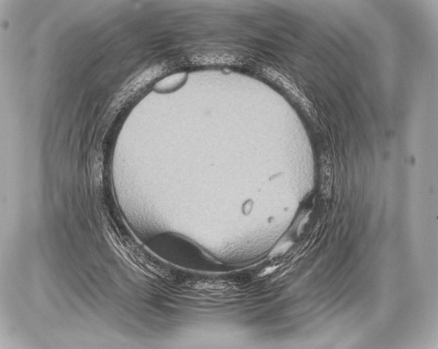 X0000085810631200704091607