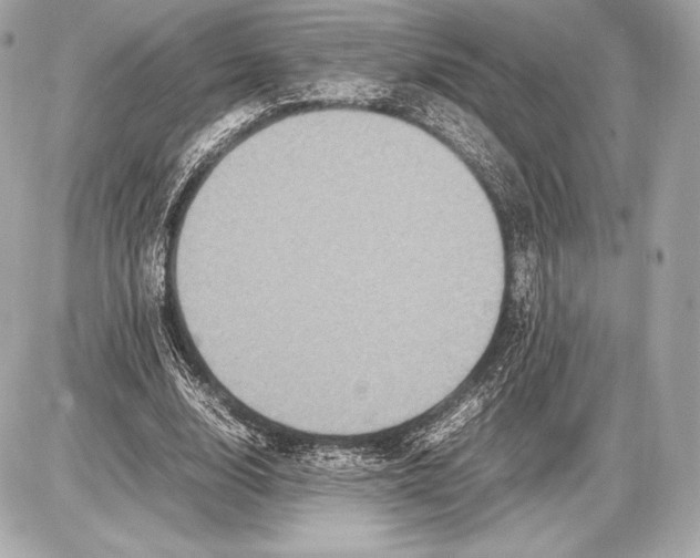 X0000085810632200704091607