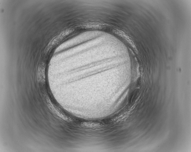 X0000085810633200704091607