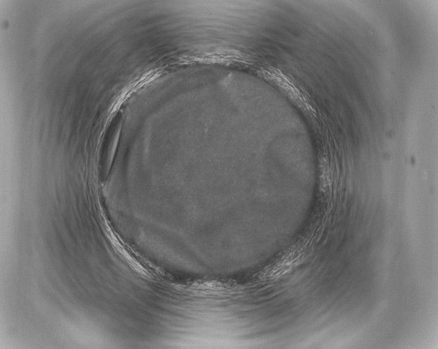 X0000085810634200704091607