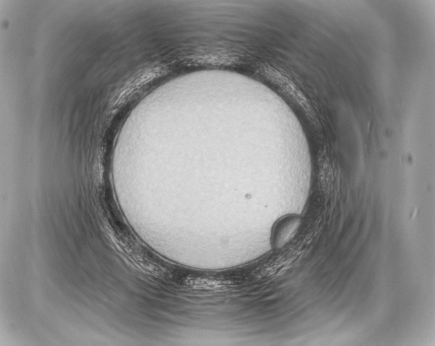 X0000085810635200704091607