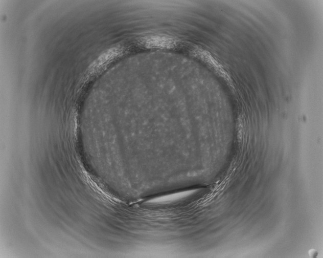 X0000085810637200704091607