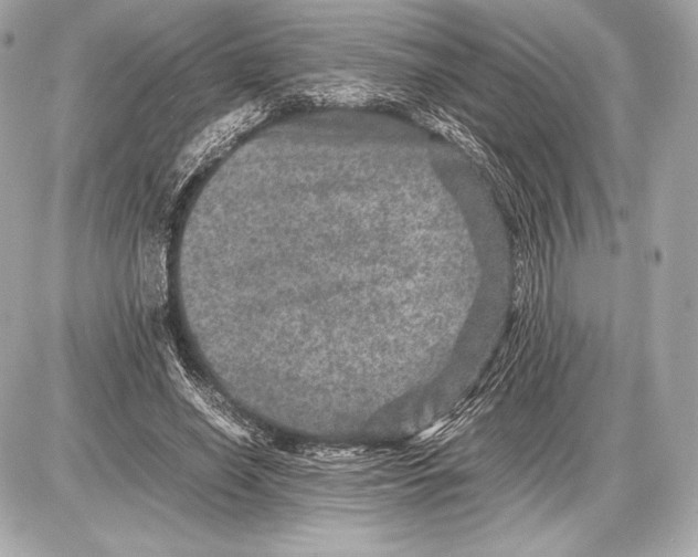 X0000085810638200704091607