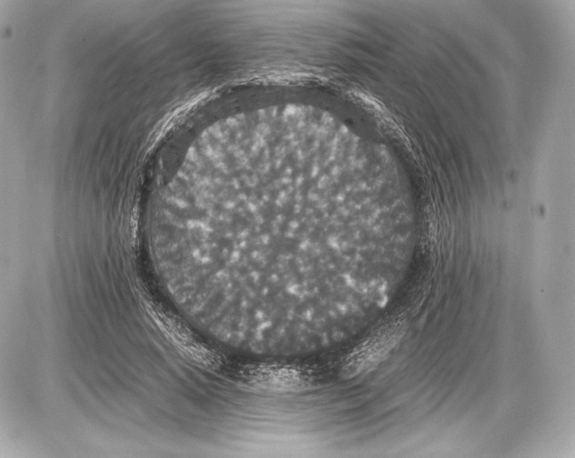 X0000085810640200704091608