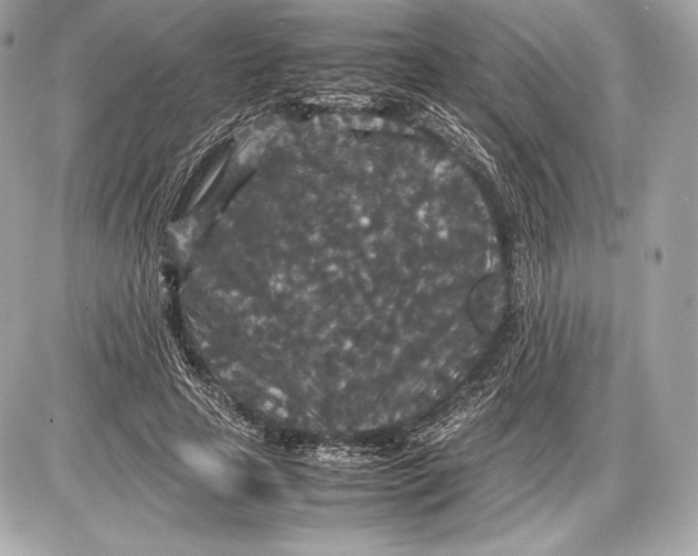 X0000085810641200704091608