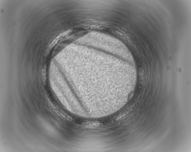 X0000085810642200704091608