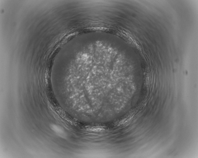 X0000085810643200704091608