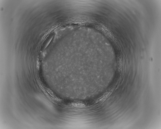 X0000085810644200704091608