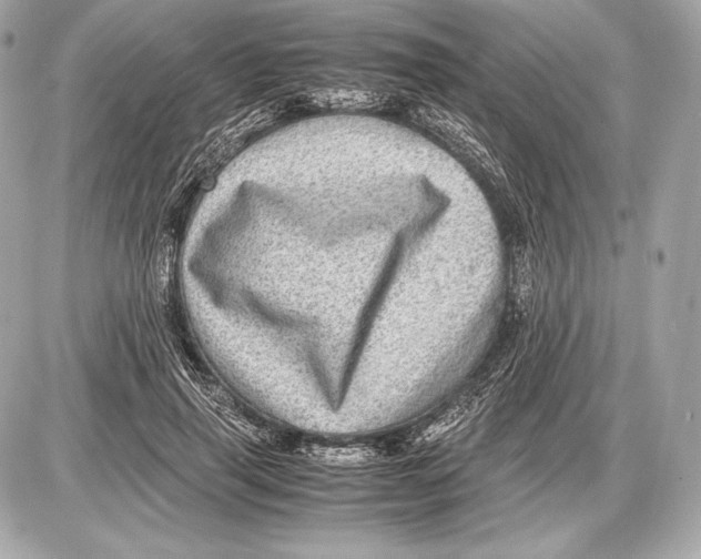 X0000085810645200704091608