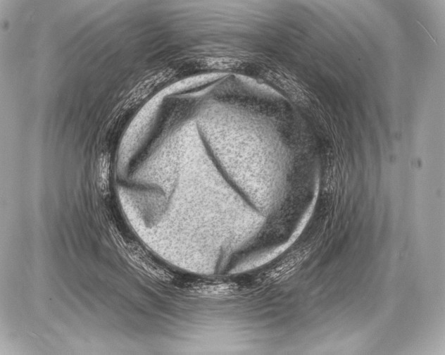 X0000085810646200704091608