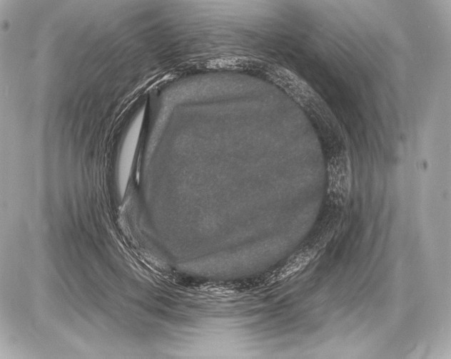 X0000085810648200704091608