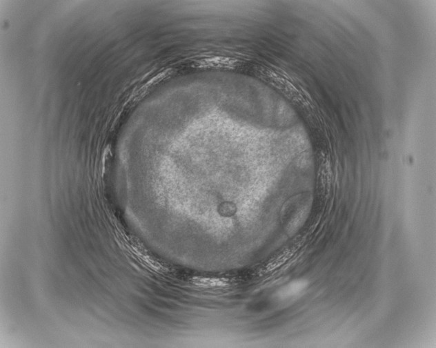 X0000085810649200704091608