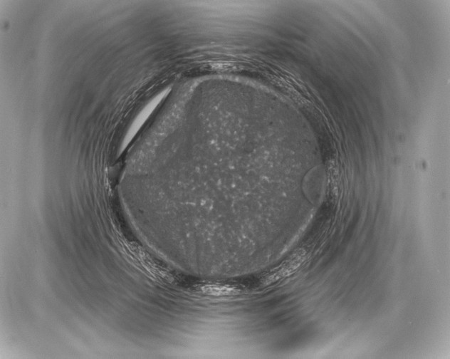 X0000085810650200704091608