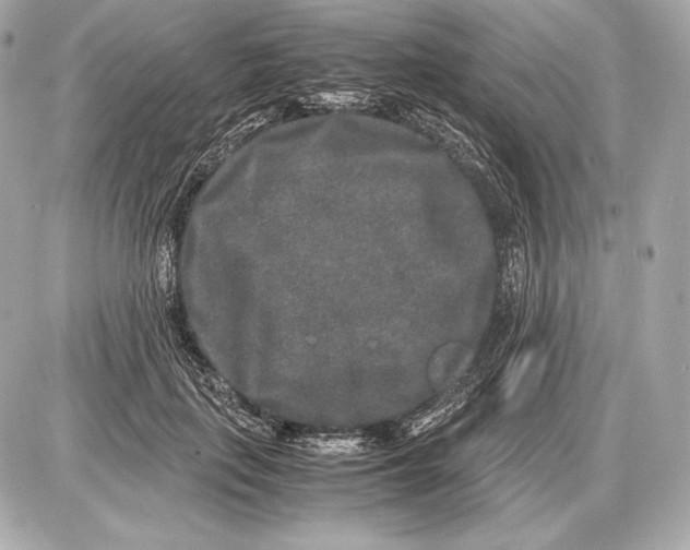 X0000085810651200704091608