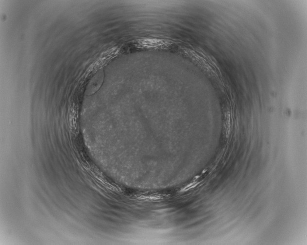 X0000085810653200704091608