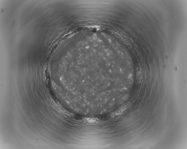 X0000085810654200704091608