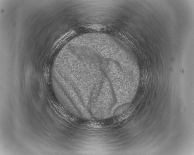 X0000085810656200704091608