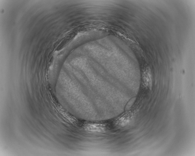 X0000085810657200704091608