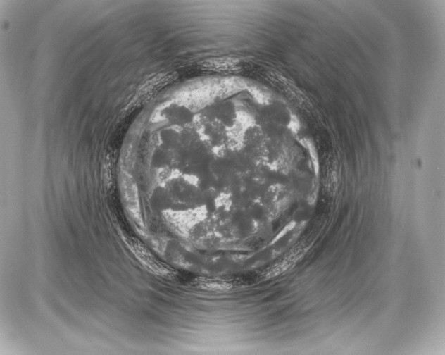 X0000085810658200704091608