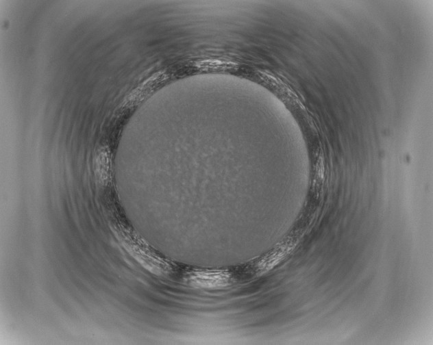 X0000085810659200704091608