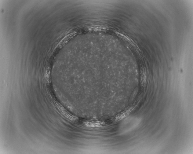 X0000085810661200704091608