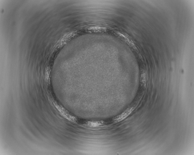 X0000085810662200704091608