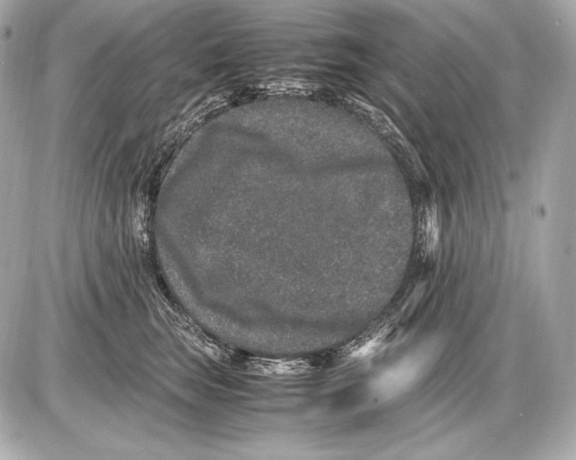 X0000085810663200704091608