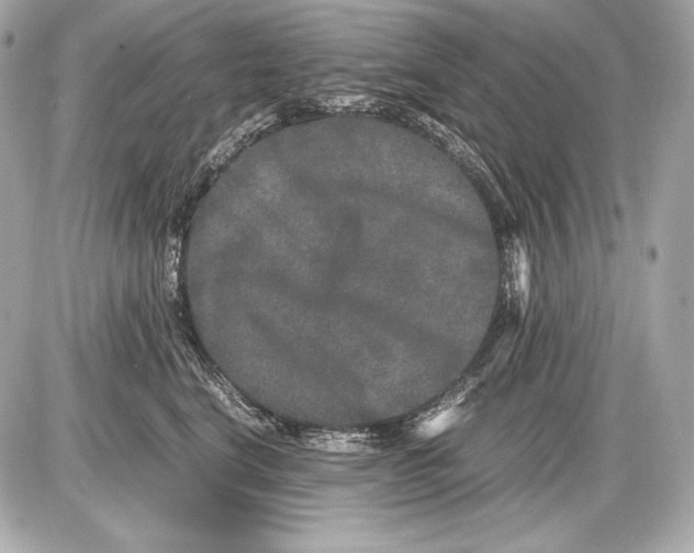 X0000085810664200704091608