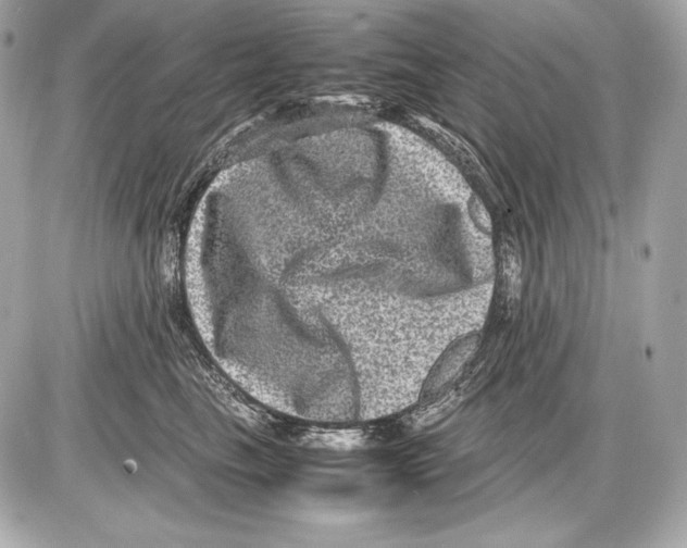 X0000085810665200704091608