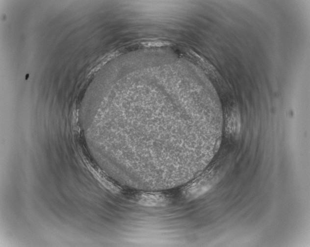 X0000085810666200704091608