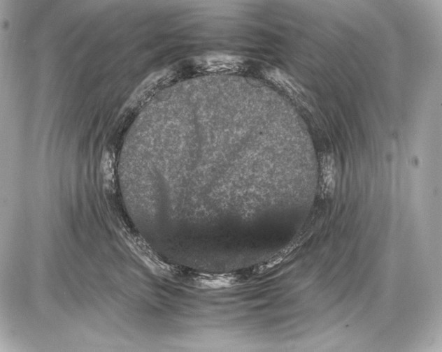 X0000085810667200704091608