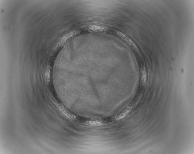 X0000085810668200704091608