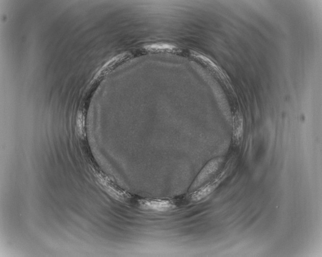 X0000085810669200704091608